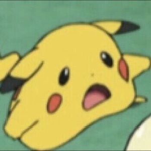 Meet your Posher, Ryder